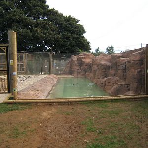 New Penguin enclosure