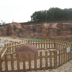 New Penguin enclosure