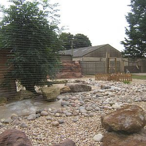 New Penguin enclosure