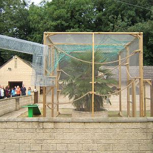 New Squirrel Monkey enclosure