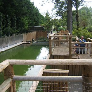 Redesigned Penguin viewing