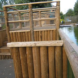 Redesigned Penguin viewing