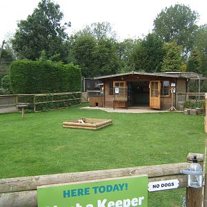 View of encounters zone