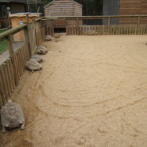 View of Sulcatta exhibit