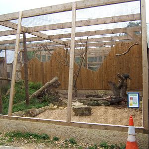 View of Southern Ground Hornbill Aviary