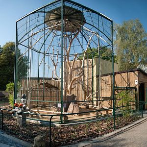 Red-shanked douc enclosure