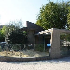 Mixed Mongoose Exhibit at Knie Kinderzoo, 11/09/16