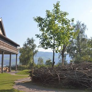 Camel Paddock at Knie Kinderzoo, 11/09/16