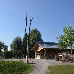 Camel House at Knie Kinderzoo, 11/09/16