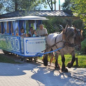 Horse-drawn Tram at Knie Kinderzoo, 11/09/16