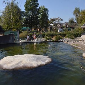 Penguin Enclosure at Knie Kinderzoo, 11/09/16