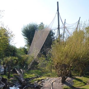 View at Knie Kinderzoo, 11/09/16