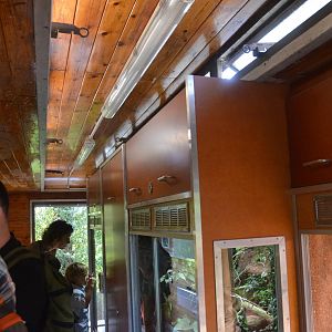 Terrarium (Converter Circus Wagon) at Knie Kinderzoo, 11/09/16