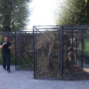 Squirrel Enclosure at Knie Kinderzoo, 11/09/16