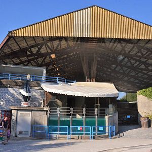 Sea Lion Stadium at Knie Kinderzoo, 11/09/16