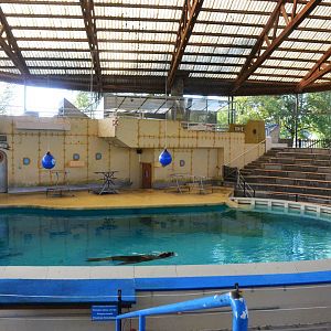 Sea Lion Stadium at Knie Kinderzoo, 11/09/16
