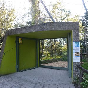 Monkey/Agouti Viewing at Knie Kinderzoo, 11/09/16
