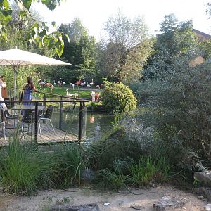 View at Knie Kinderzoo, 11/09/16