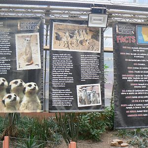 View of Meerkat Signage - 1 October 2016