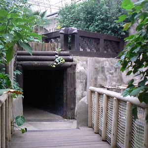 View of the Exit of the Nocturnal House - 1 October 2016