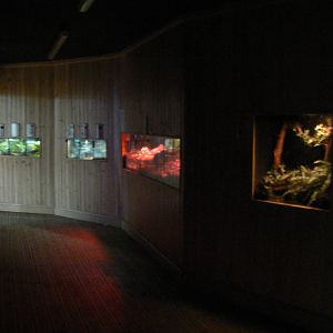 View of Various Exhibits - 1 October 2016