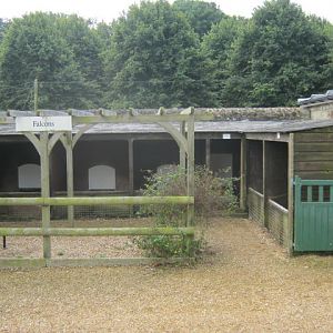 Isle of Wight Owl and Falconry Centre, Appuldurcombe 2016