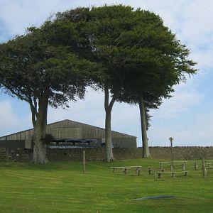 Isle of Wight Owl and Falconry Centre,Appuldurcombe 2016