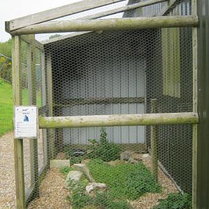 Isle of Wight Owl and Falconry Centre 2016