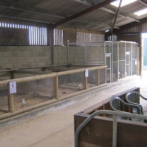 Isle of Wight Owl and Falconry Centre 2016.