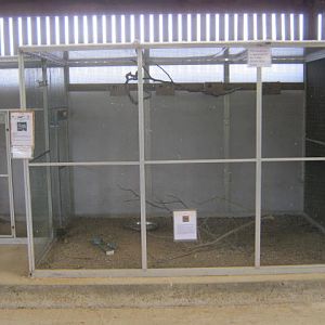 Isle of Wight Owl and Falconry Centre, Appuldurcombe 2016