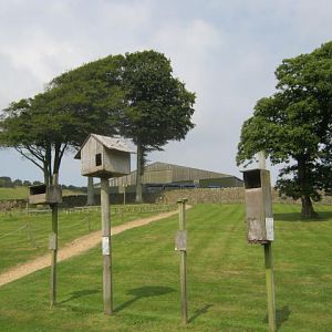Isle of Wight Owl and Falconry Centre,Appuldurcombe 2016