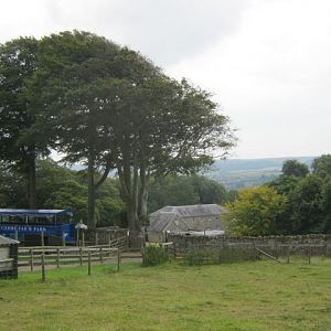 Isle of Wight Owl and Falconry Centre 2016