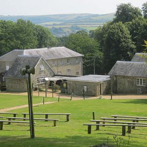 Isle of Wight Owl and Falconry Centre, Appuldurcombe 2016