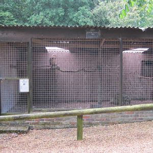 Isle of Wight Owl and Falconry Centre 2016