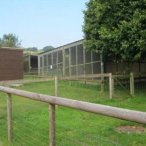 Isle of Wight Owl and Falconry Centre 2016.