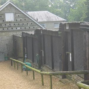 Isle of Wight Owl and Falconry Centre,Appuldurcombe 2016