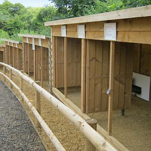 Haven Falconry Isle of Wight 2016