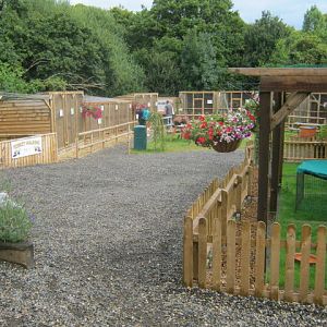 Haven Falconry Isle of Wight 2016