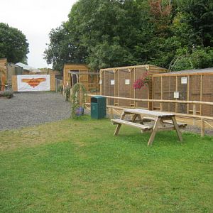 Haven Falconry Isle of Wight 2016