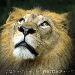 Sep. 2016 - Africa - John