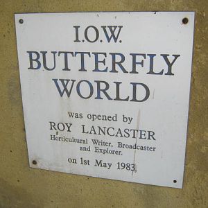 Isle of Wight Butterfly World 2016