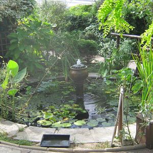 Isle of Wight Owl Butterfly World 2016