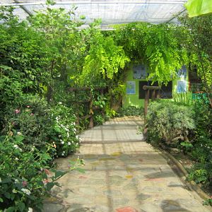 Isle of Wight Owl Butterfly World 2016