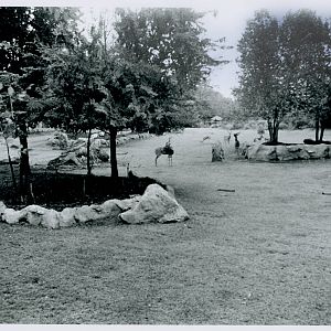 Sep. 2016 - Africa - African Plains Exhibit in Film