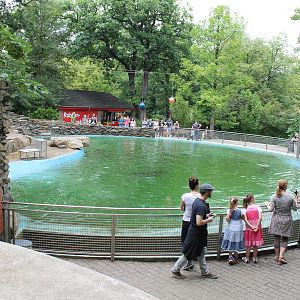 Californian sealion enclosure