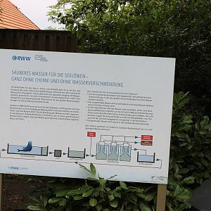 Info filtration-system sea lions