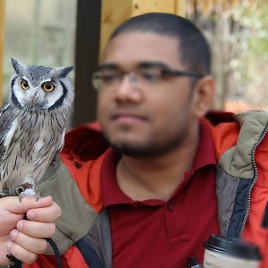 Apr. 2016 - Interaction With Gizmo