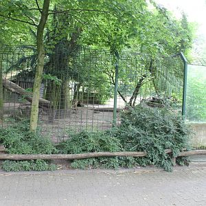 Enclosure Wolf