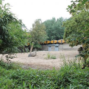 White rhino enclosure