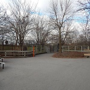 Dec. 2014 - Plains - African Painted Dog Exhibit (No Longer There)